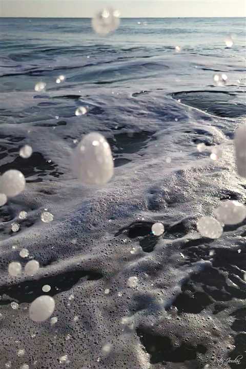 9287263